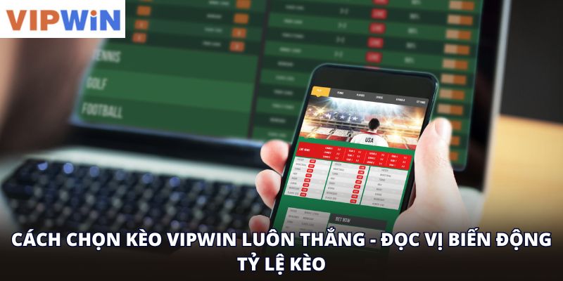 Cách chọn kèo vipwin luôn thắng - đọc vị biến động tỷ lệ kèo