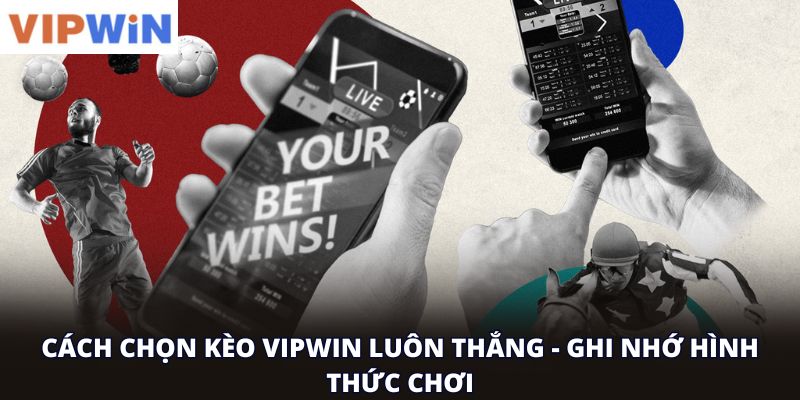 Cách chọn kèo vipwin luôn thắng - ghi nhớ hình thức chơi