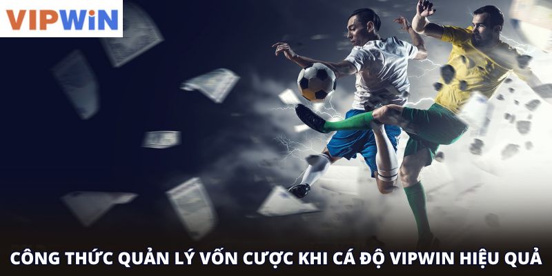 Công thức quản lý vốn cược khi cá độ vipwin hiệu quả