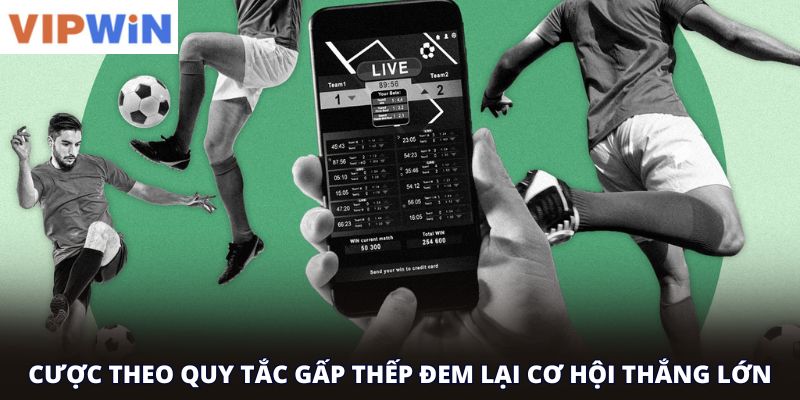 Cược theo quy tắc gấp thếp đem lại cơ hội thắng lớn