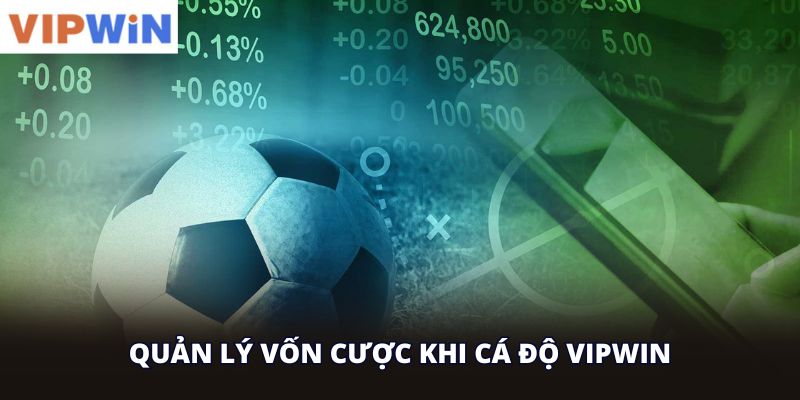 quản lý vốn cược khi cá độ vipwin
