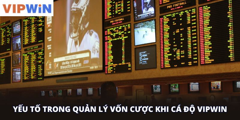 Yếu tố trong quản lý vốn cược khi cá độ vipwin